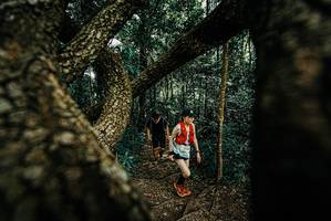 BIB: 
                            <button type="button" onclick="openModal(25708719)" class="btn btn-primary btn-sm float-right btn-popup" data-toggle="modal" data-target=".modal-high-quality">
                        <i class="fas fa-shopping-cart"></i> Add to Cart
                    </button>
                                            <button type="button" onclick="isThisMe(25708719, true)" class="btn btn-success btn-sm float-right btn-popup btn-isme hidden" data-toggle="tooltip" data-placement="bottom" title="นี่คือรูปของคุณใช่ไหม คลิกที่นี่เพื่อเอาเข้าอัลบั้ม">
                        <i class="fas fa-plus"></i> Add to album
                    </button>
                    <button type="button" onclick="isThisMe(25708719, false)" class="btn btn-warning btn-sm float-right btn-popup btn-isnotme hidden">
                        <i class="fas fa-ban"></i> Remove from album
                    </button>